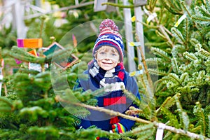 Beautiful smiling little boy holding christmas tree