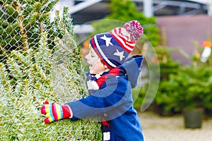 Beautiful smiling little boy holding christmas tree