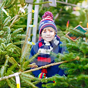 Beautiful smiling little boy holding christmas tree