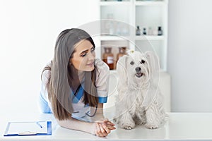 Beautiful smiling veterinarian doctor and cute white dog