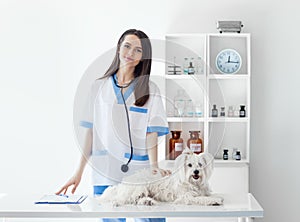 Beautiful smiling veterinarian doctor and cute white dog in vet