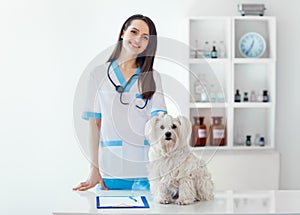 Beautiful smiling veterinarian doctor and cute white dog in vet
