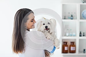 Beautiful smiling veterinarian doctor holding cute white dog