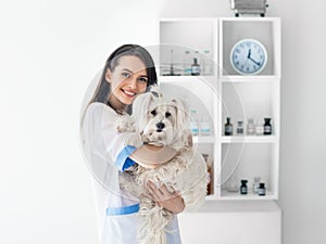 Beautiful smiling veterinarian doctor holding cute white dog