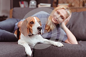 beautiful smiling woman stroking dog while lying on sofa