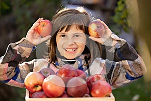 Beautiful smiling young child female girl holding apples with pretty face looking at camera. Organic red freshly picked