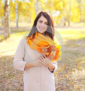 Beautiful smiling young woman with yellow maple leafs in autumn