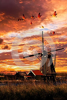 Beautiful Smock Ground Sailer windmill