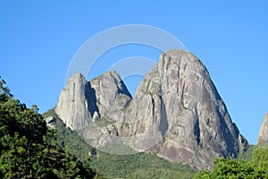 Beautiful smooth rock in green forest