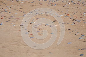 Beautiful smooth sea stones in the sands of the beach.