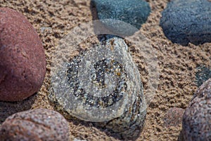 Beautiful smooth sea stones in the sands of the beach.