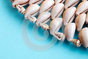 Beautiful smooth seashells on blue backgroundamily planning