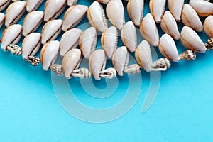 Beautiful smooth seashells on blue backgroundamily planning