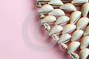 Beautiful smooth seashells on pink backgroundamily planning