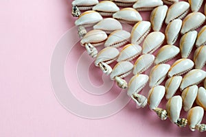 Beautiful smooth seashells on pink backgroundamily planning