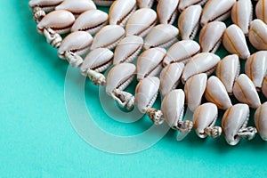 Beautiful smooth seashells on turquoise and green backgroundamily planning
