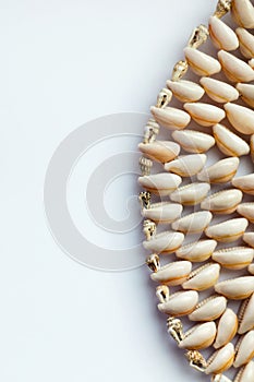 Beautiful smooth seashells on white backgroundamily planning