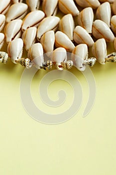 Beautiful smooth seashells on yellow backgroundamily planning