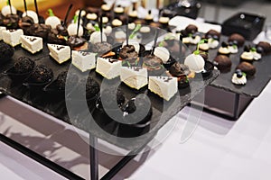 Beautiful snacks with salmon and different cheese at the event