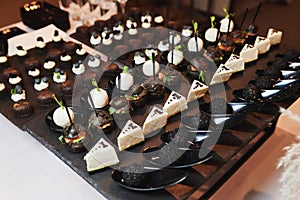 Beautiful snacks with salmon and different cheese at the event