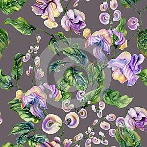 Beautiful snail vine twigs with purple flowers on gray background. Seamless floral pattern. Watercolor painting.