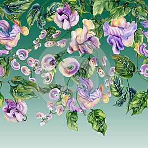 Beautiful snail vine twigs with purple flowers on green background. Seamless floral pattern, border. Watercolor painting.