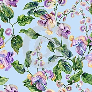Beautiful snail vine twigs with purple flowers on light blue background. Seamless floral pattern. Watercolor painting.