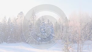 Beautiful snow-covered forest is visible from the window of a traveling train.