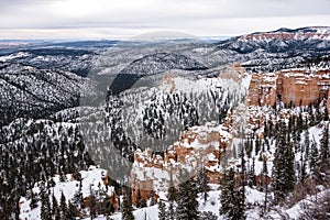 Beautiful snow covered mountains during the freezing winter period in Bryce  Canyon National Park, Utah, United States of America