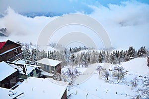Beautiful snow covered valley khajjiar