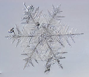 Beautiful snow flake on a light blue background close up