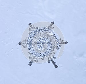 Beautiful snow flake on a light blue background close up