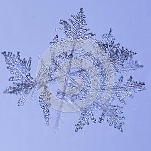 Beautiful snow flake on a light blue background close up