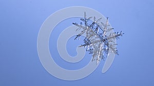 Beautiful snow flake on a light blue background close up