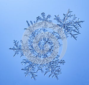 Beautiful snow flake on a light blue background close up