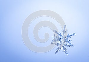 Beautiful snow flake on a light blue background close up