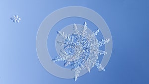 Beautiful snow flake on a light blue background close up