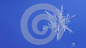 Beautiful snow flake on a light blue background close up