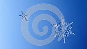 Beautiful snow flake on a light blue background close up