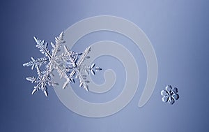 Beautiful snow flake on a light blue background close up