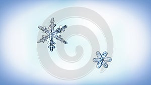 Beautiful snow flake on a light blue background close up