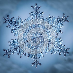 Beautiful snow flake on a light blue background close up