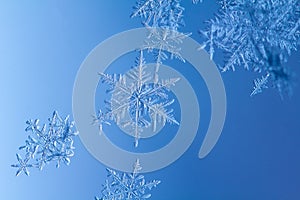 Beautiful snow flake on a light blue background close up photo