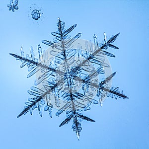 Beautiful snow flake on a light blue background close up