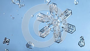 Beautiful snow flake on a light blue background close up