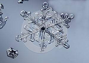 Beautiful snow flake on a light grey background close up