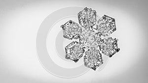 Beautiful snow flake on a light grey background close up