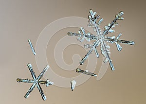 Beautiful snow flake on a light orange background close up