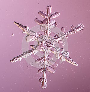 Beautiful snow flake on a light pink background close up