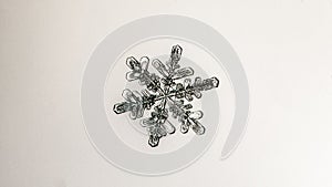 Beautiful snow flake on a light white background close up